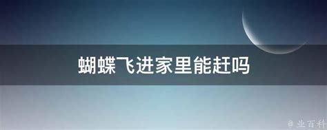 蝴蝶飞进家里万字